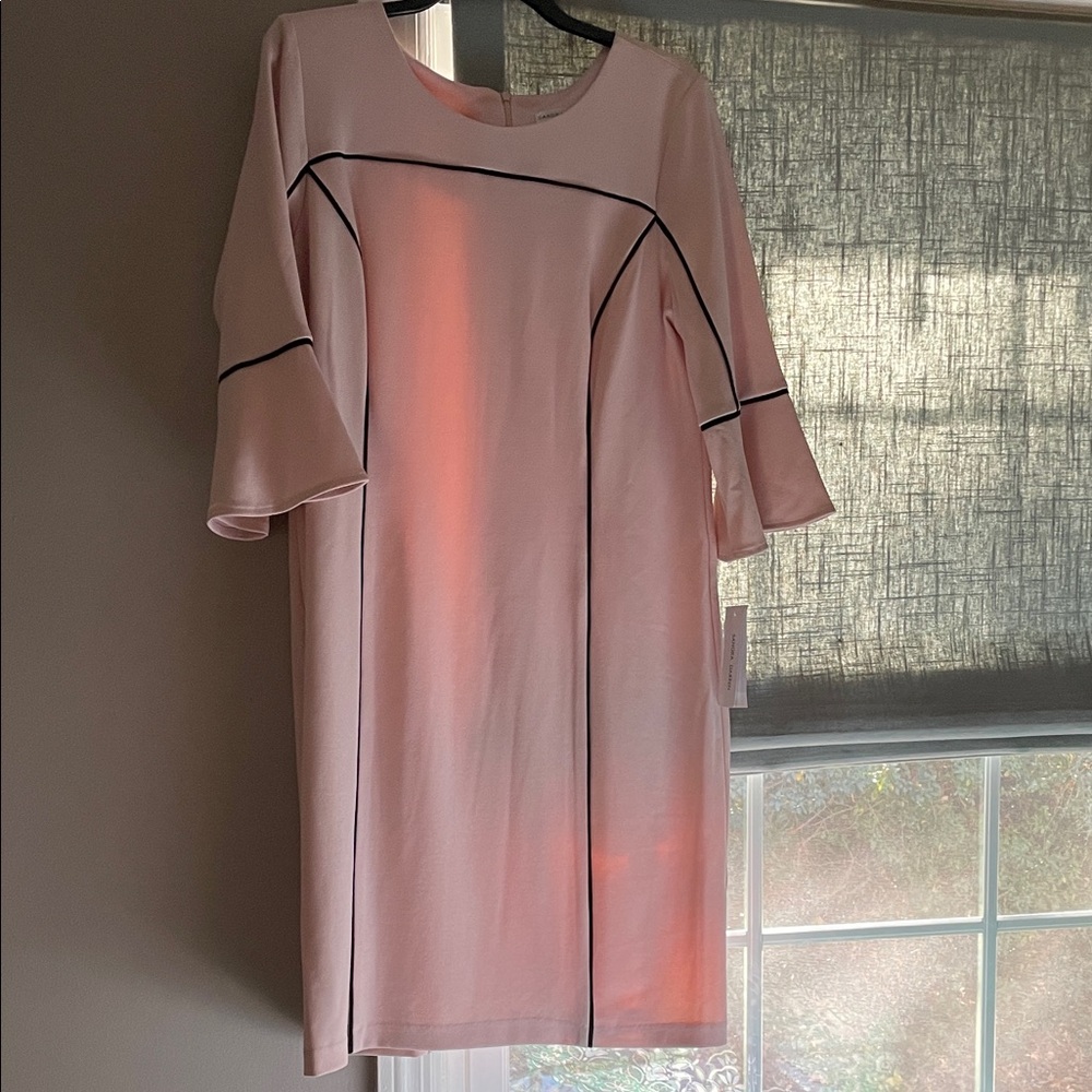 Sandra Darren Pink Dress with Black Trim